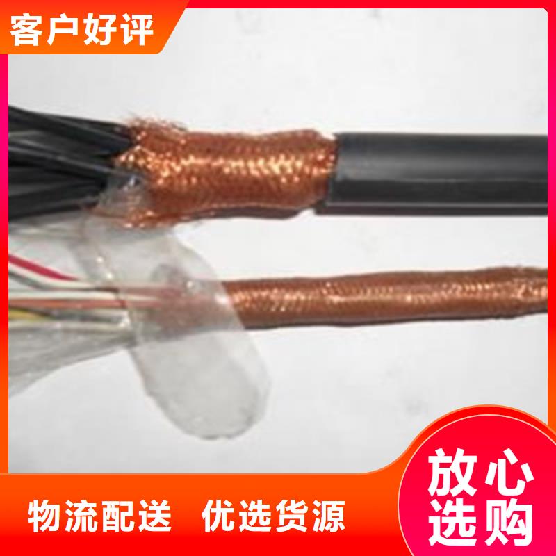 控制电缆通信电缆准时交付