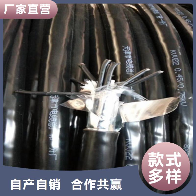 矿用控制电缆本安防爆电缆原厂制造