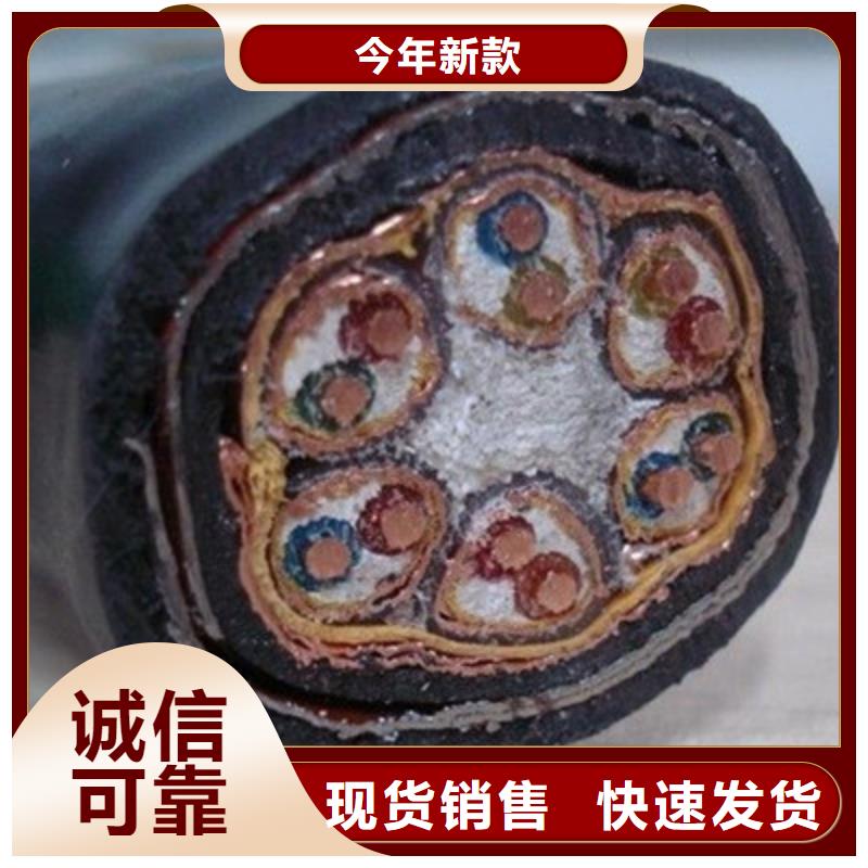 耐高温电缆煤矿用阻燃控制电缆源头实体厂商