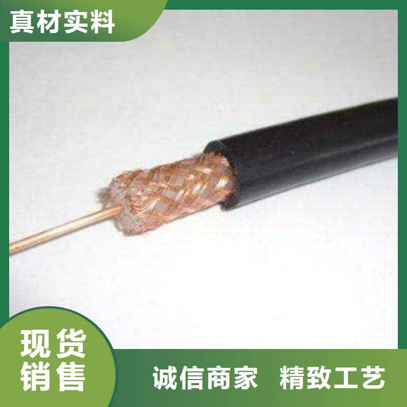 SYV视频电缆50-12