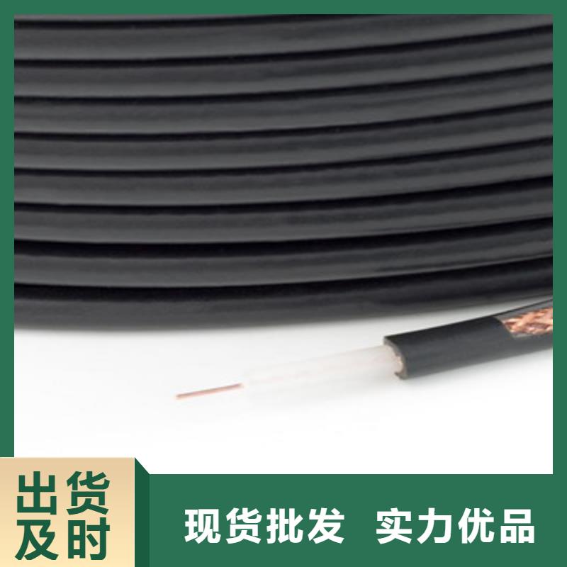 SYV视频电缆50-12