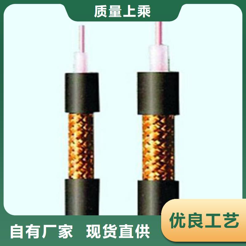 SYV视频监控线放心选择