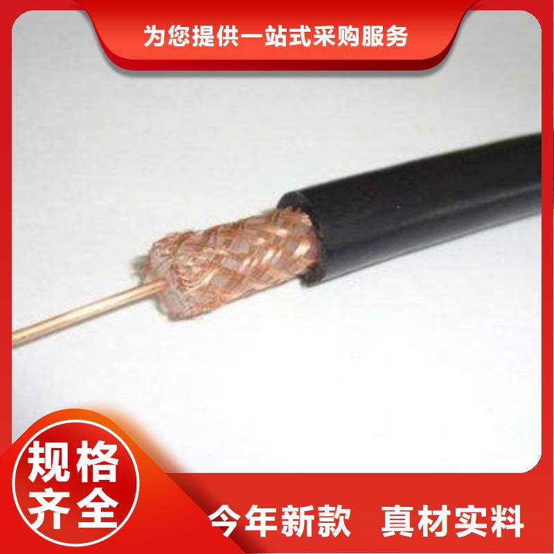 耐高温视频线DLD-SYF、耐高温视频线DLD-SYF厂家-库存充足