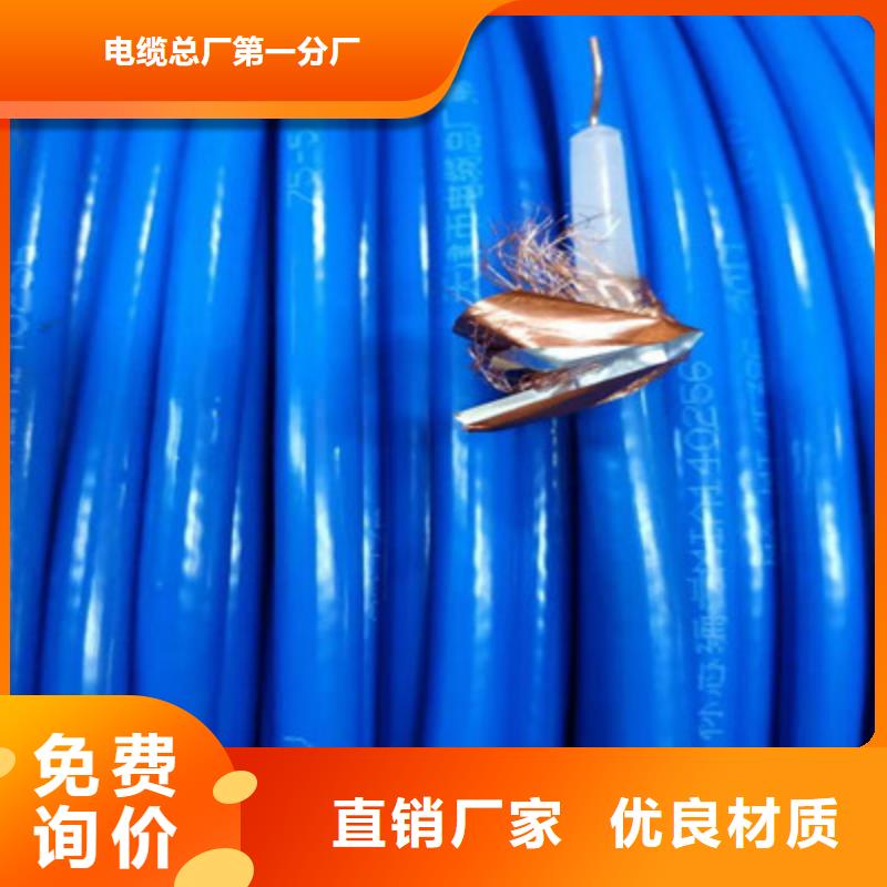 SYV视频电缆50-12
