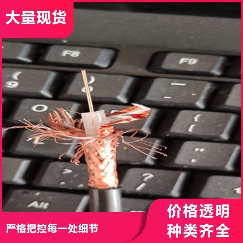 SYV视频监控线为您介绍