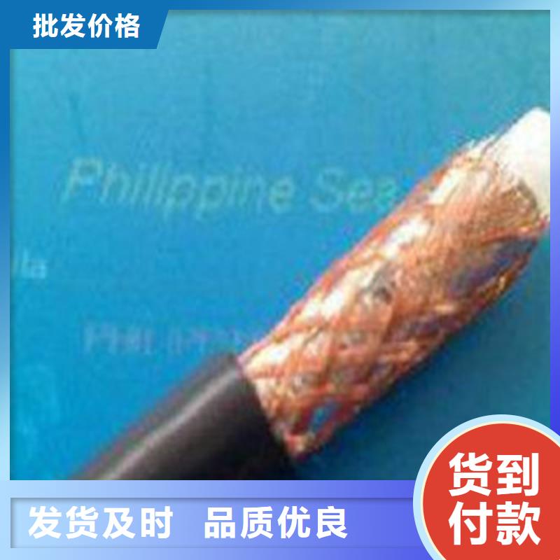 SYV视频监控线为您介绍