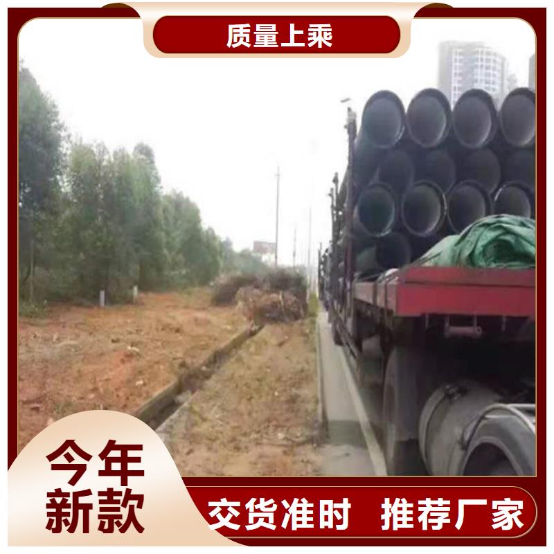 楼DN1000球墨铸铁管