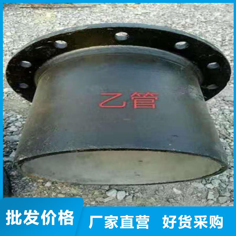 耒阳DN600球墨铸铁管