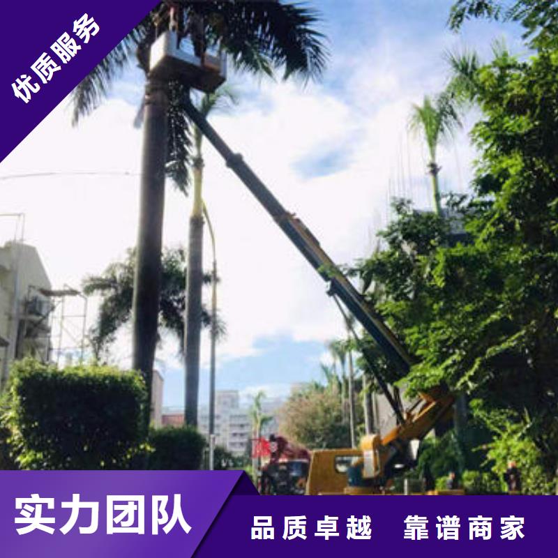 伸臂登高车租赁中山三角镇