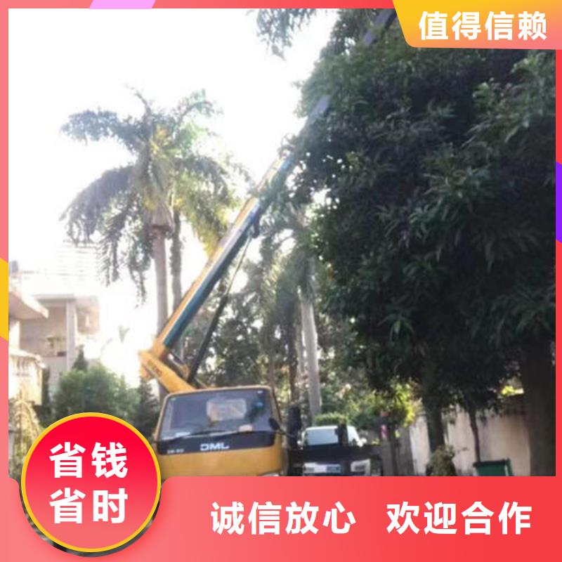 中山市东凤镇升降机租赁怎么选