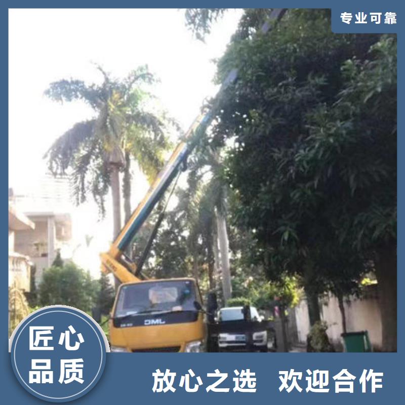 大良街道吊篮车出租多少钱