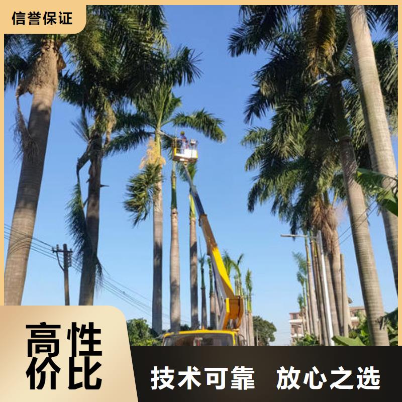 鹤山折叠臂吊机出租