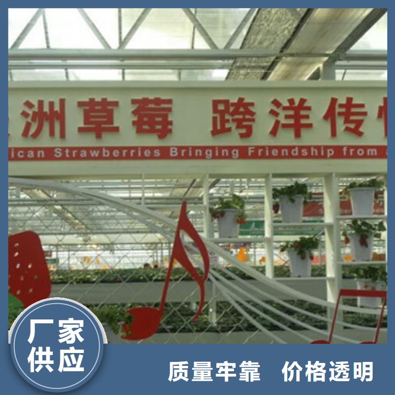 自治区牛奶草莓苗2025年报价