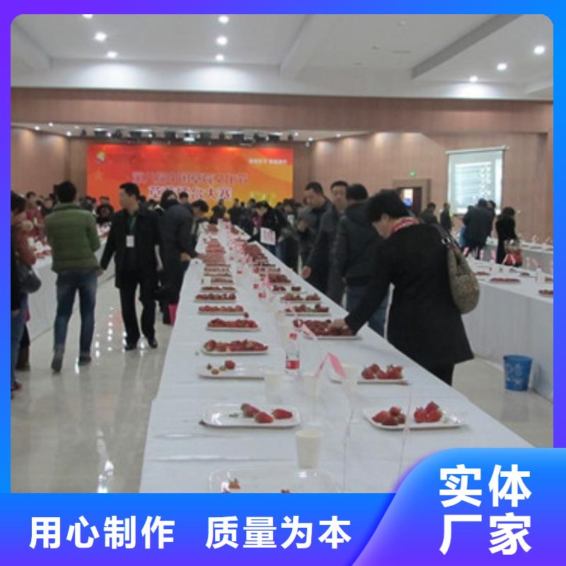 铜鼓二年生巧克力草莓苗，巧克力草莓苗哪里纯正