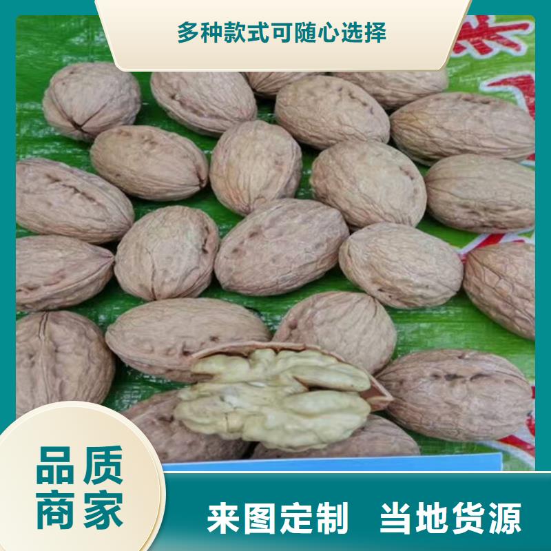 核桃苗_果树苗热销产品