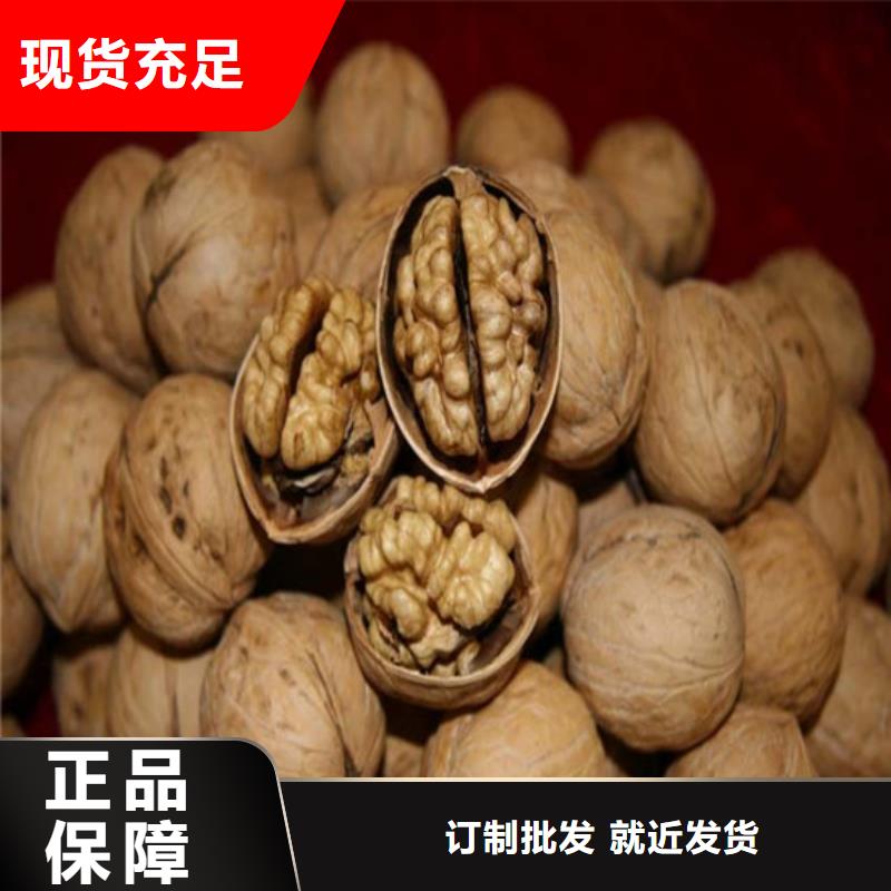 核桃苗果树苗品质好才是硬道理
