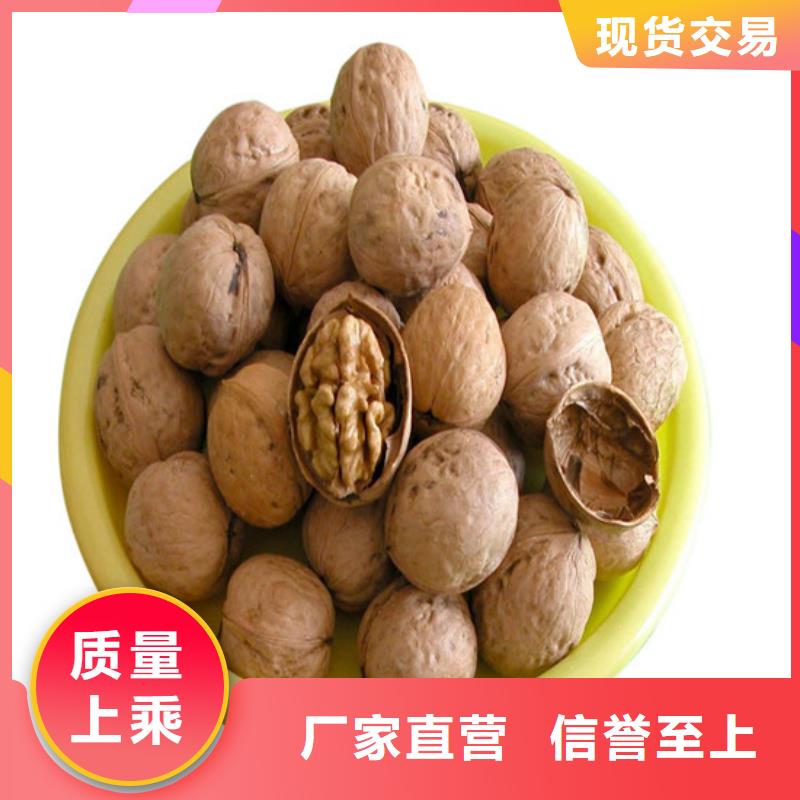 核桃苗红颜草莓好品质用的放心