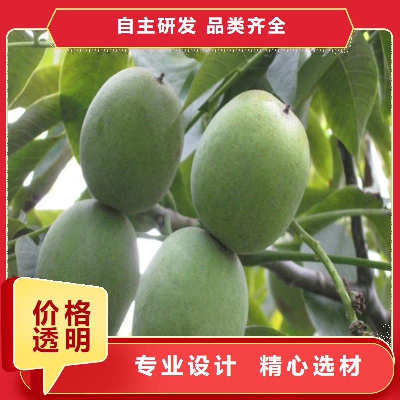 核桃苗红富士苹果树苗诚信为本