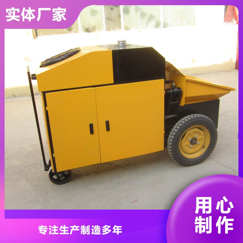 性价比高的卧式二次构造柱泵中心