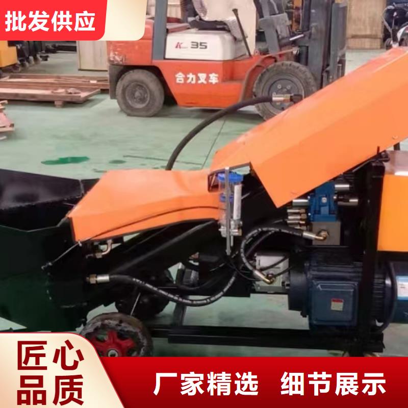 立式二次构造柱泵欢迎电询