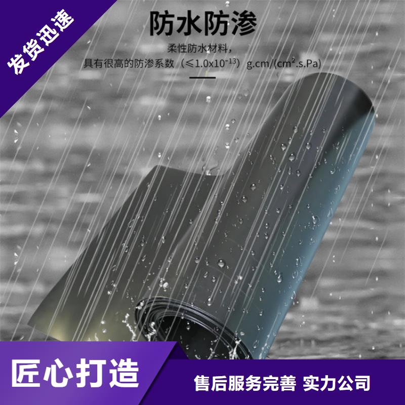防渗土工膜公司