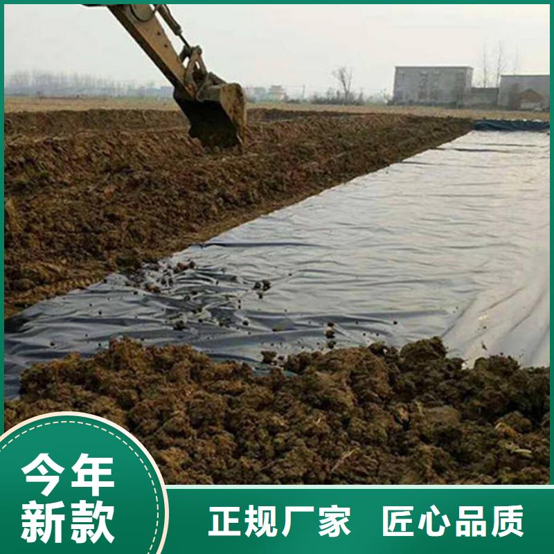 土工膜【【防水膜】】厂家经验丰富
