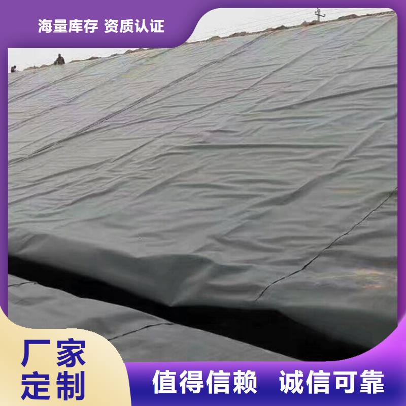 土工膜土工格栅源头厂家量大价优