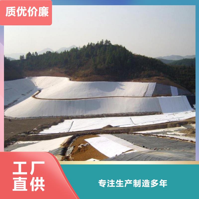 土工膜土工格栅源头厂家量大价优