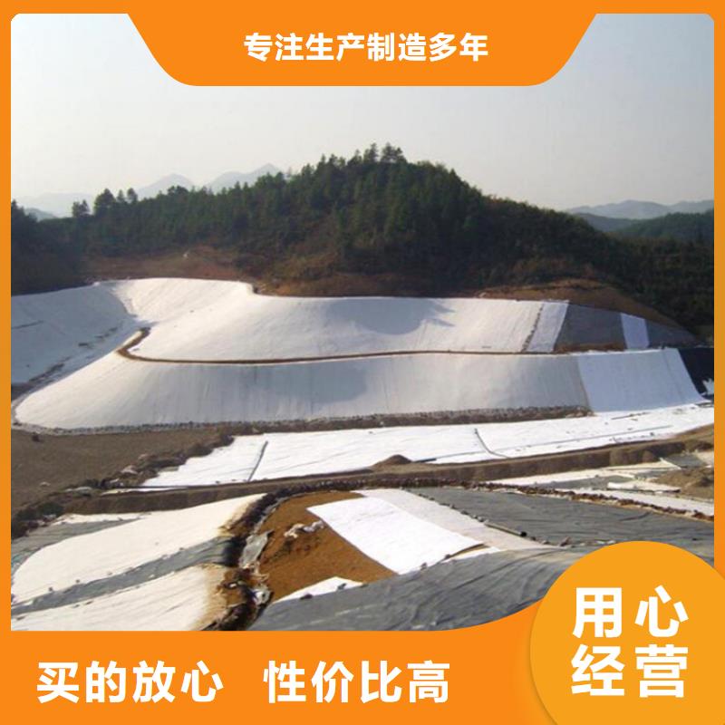 0.6mm防渗膜