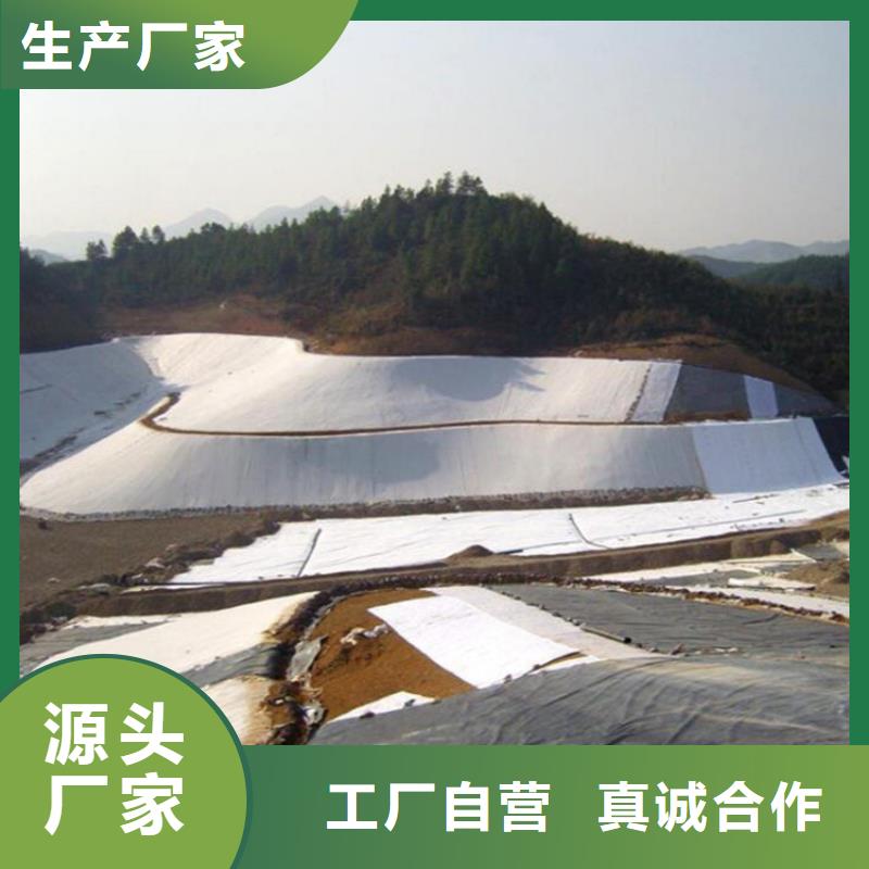 双光面HDPE防渗土工膜