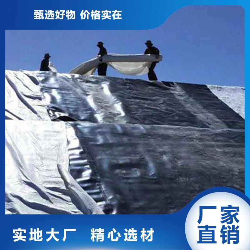土工膜土工格栅源头厂家量大价优