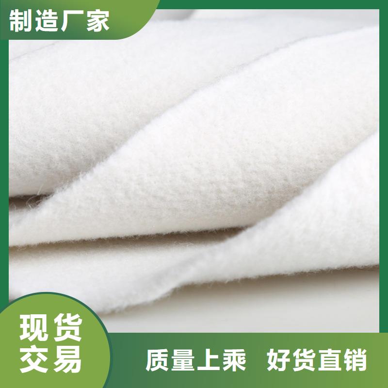 海南定安县防渗滤水土工布