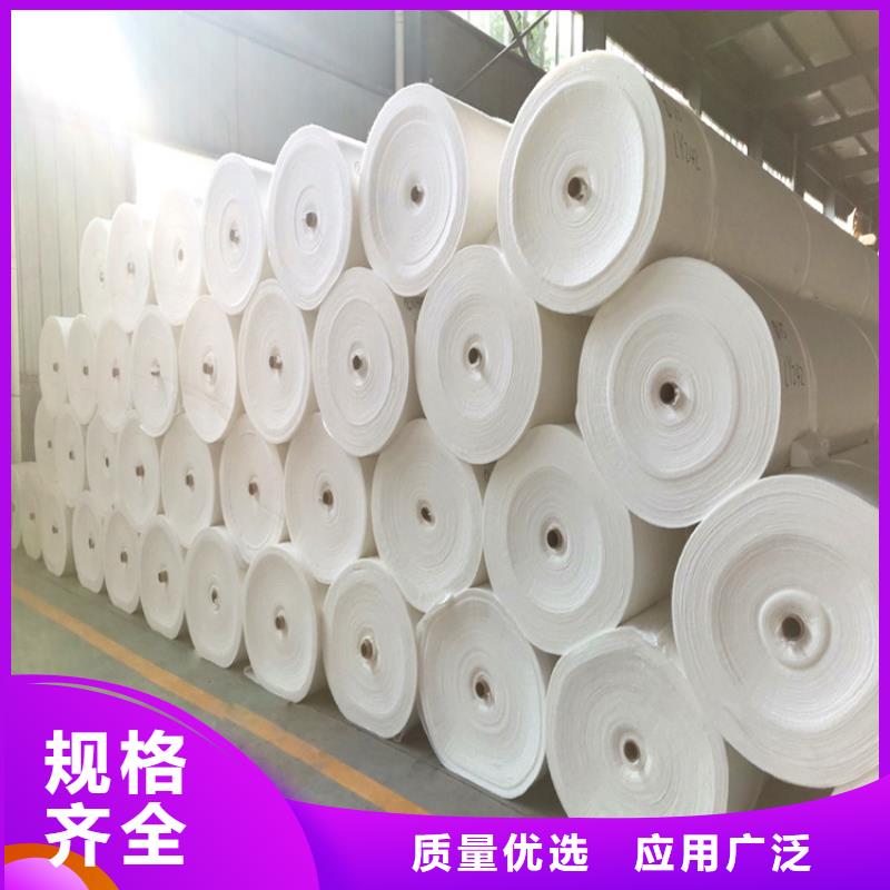 东方市路面土工布