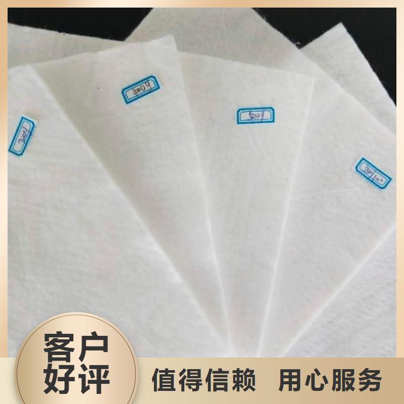 东方市路面土工布