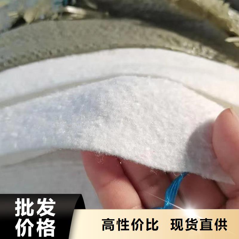 海南定安县防渗滤水土工布