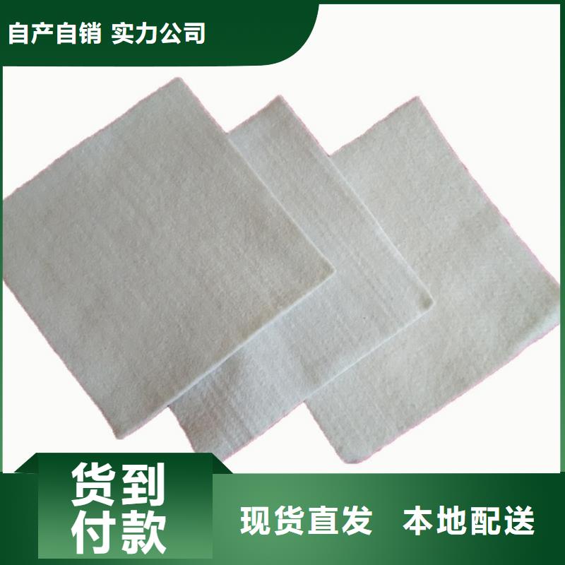 复合短纤针刺土工布