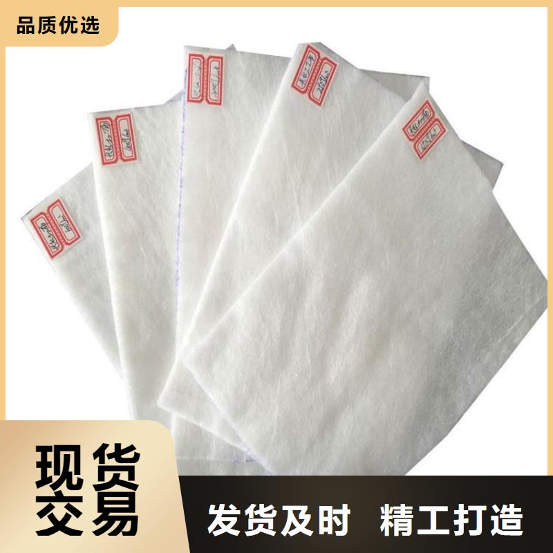 东方市路面土工布