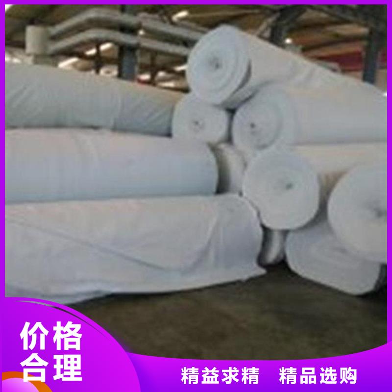 长丝无纺渗水土工布