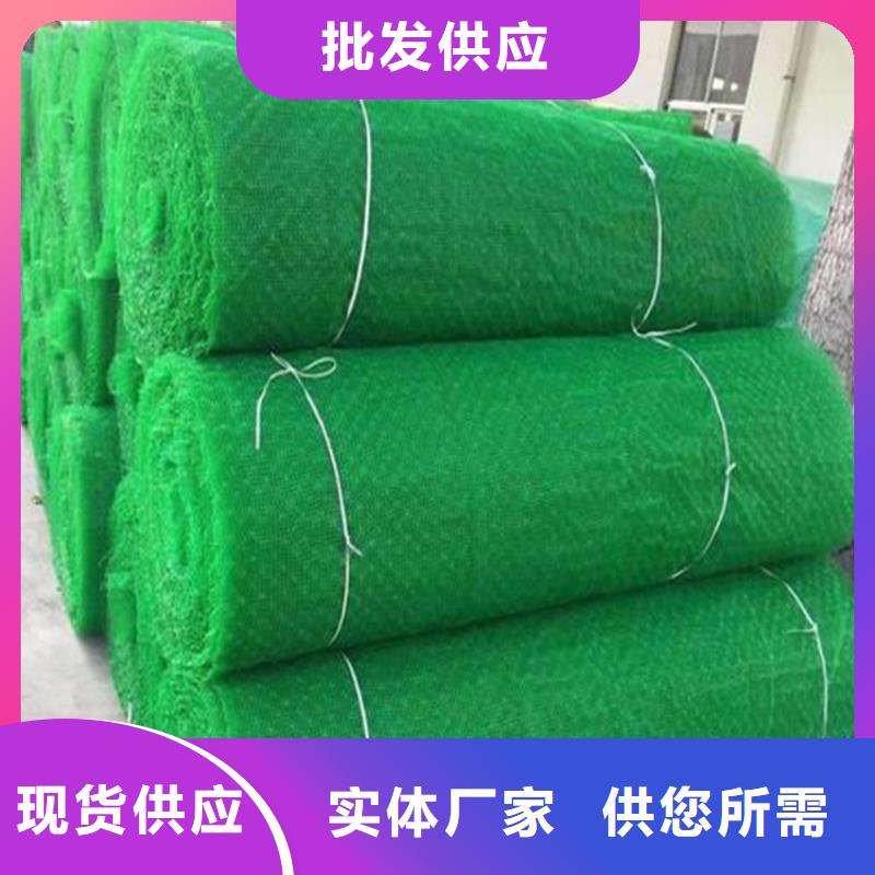 三维植被网土工布国标检测放心购买