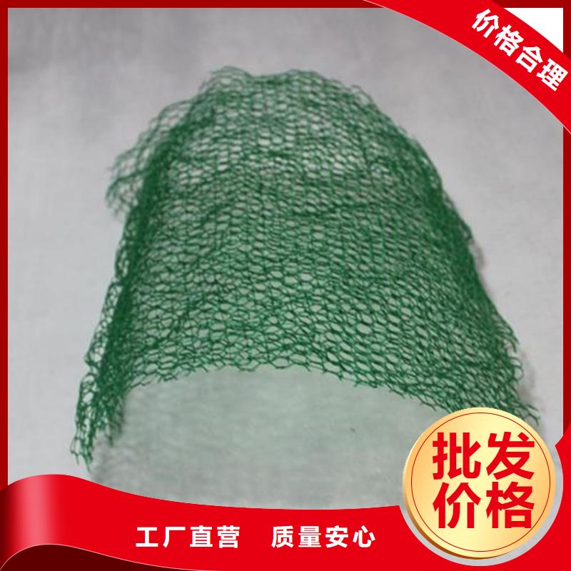 三维植被网施工案例