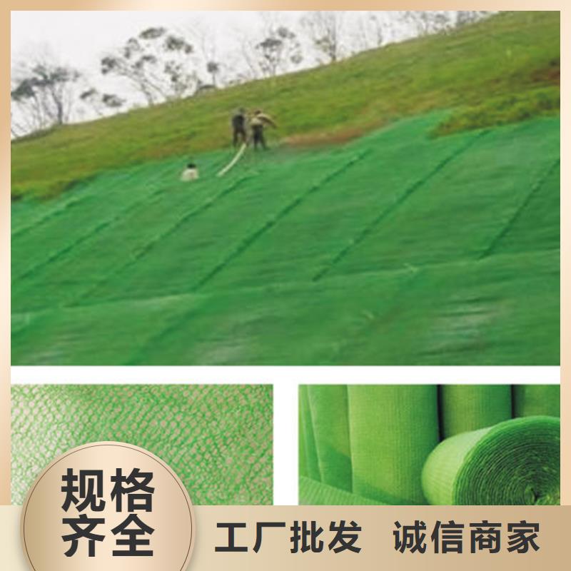 三维植被网批发代理