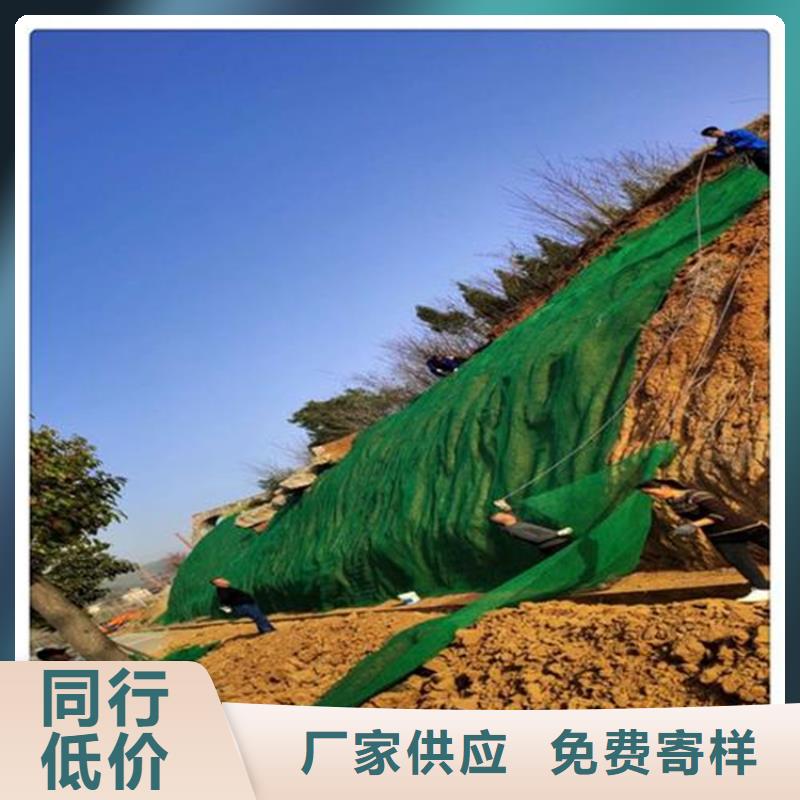 三维植被网批发代理