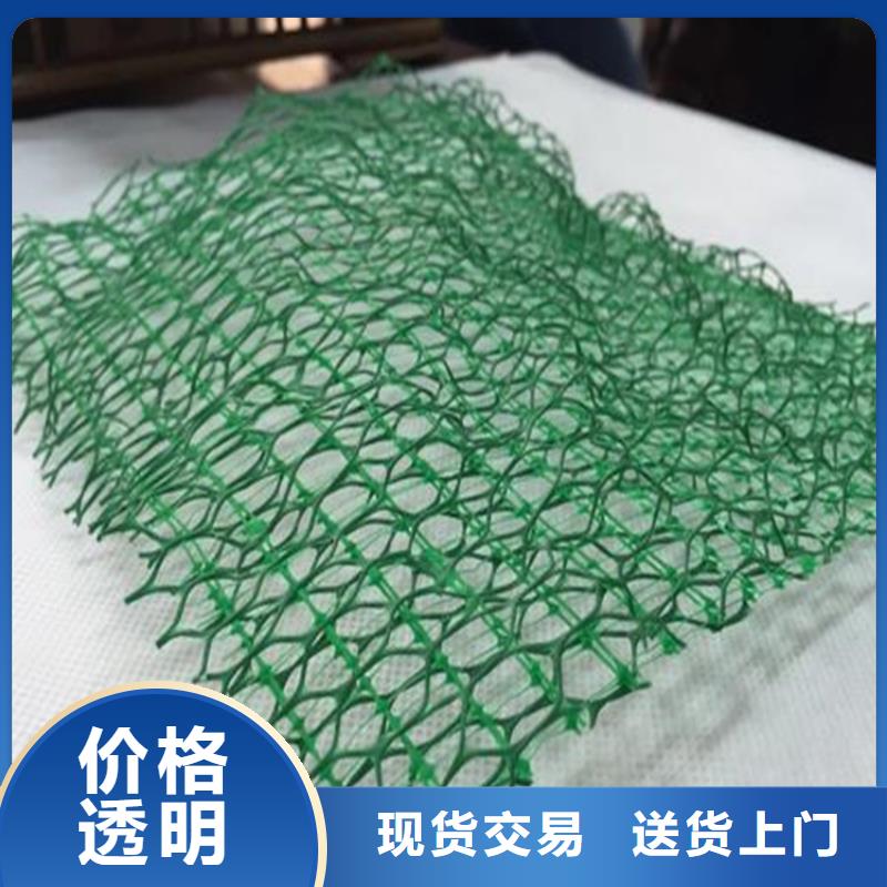 加筋护坡三维植被网