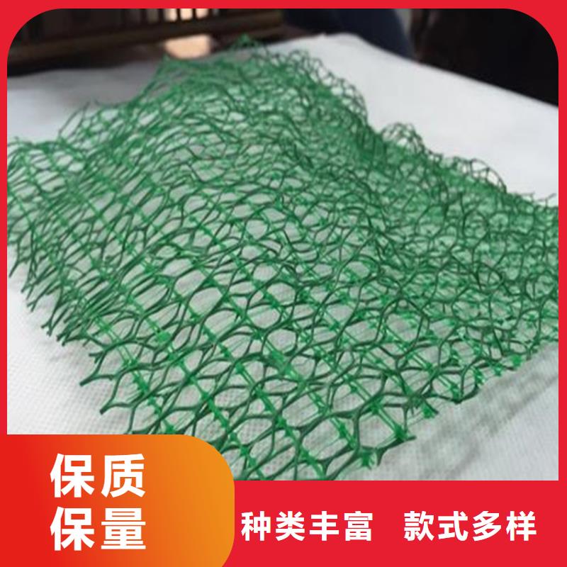 三维植被网施工案例