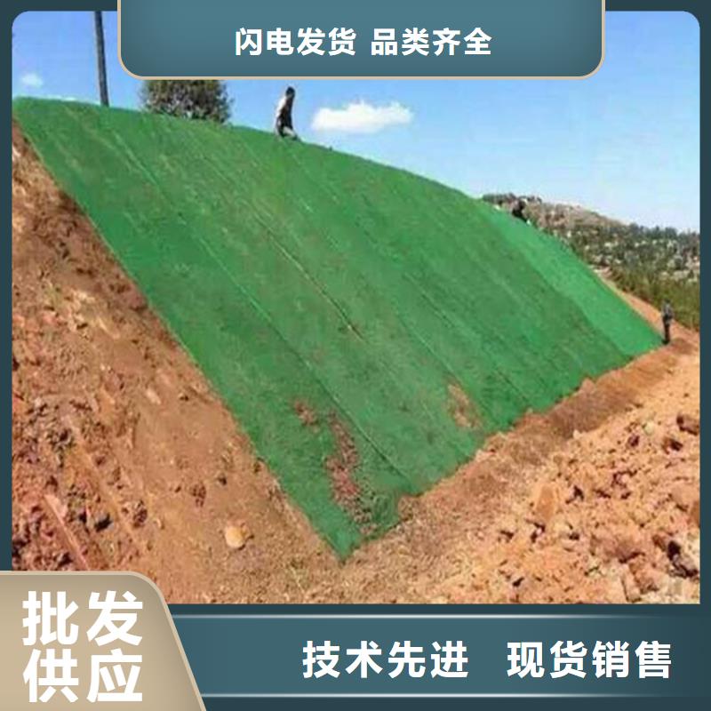 三维土工网垫厂家动态