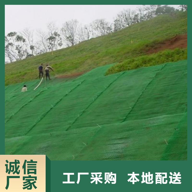 三维植被网施工案例