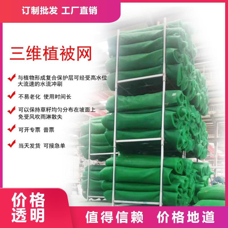EM3三维植被网垫