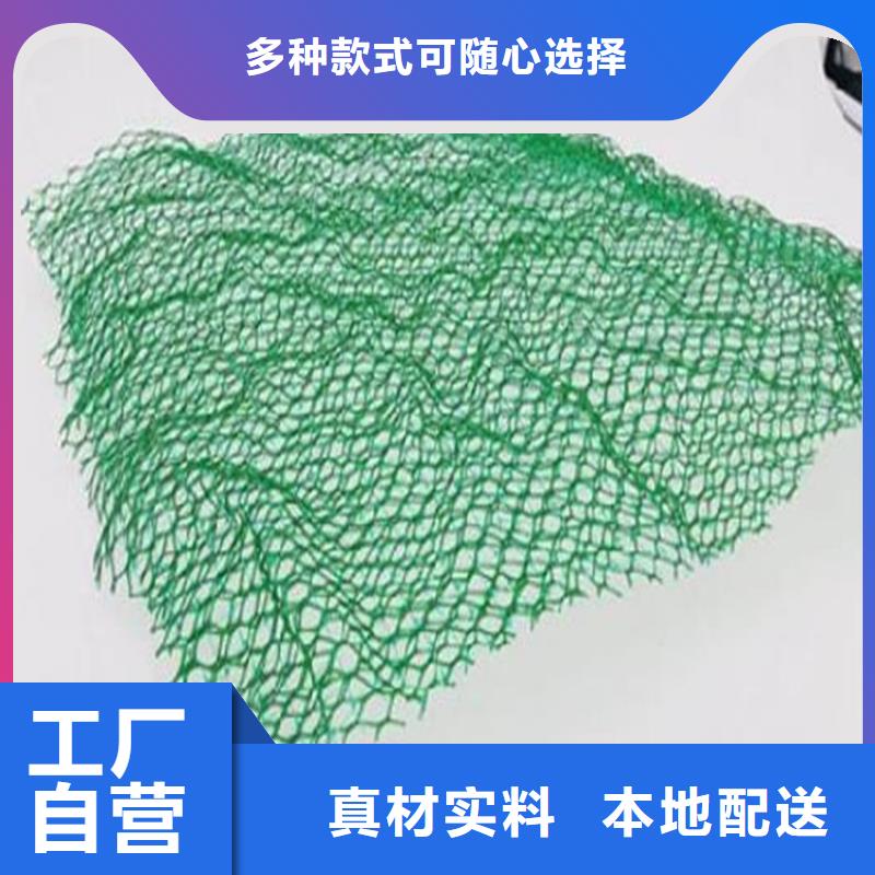 三维植被网-【防草布】厂家货源