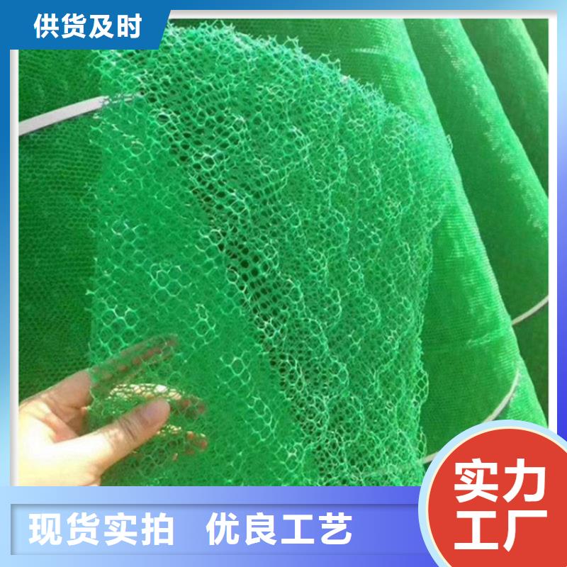 三维植被网施工案例