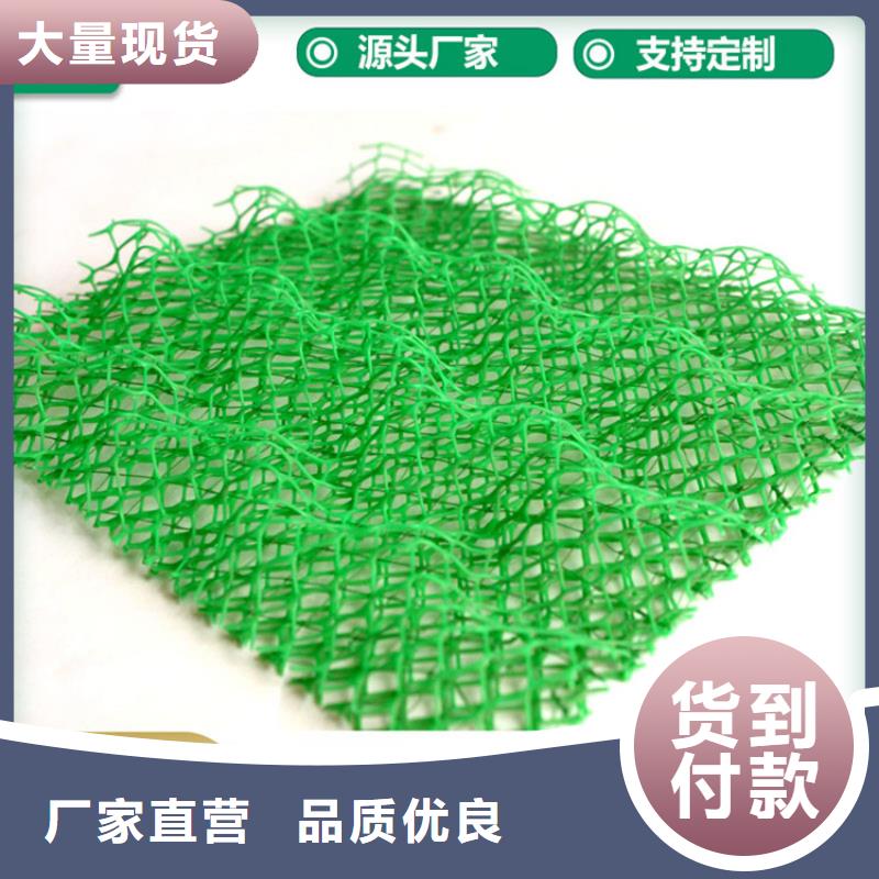 三维土工网垫厂家动态